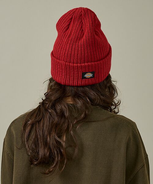 ABAHOUSE / アバハウス ハット | 【Dickies / ディッキーズ】EX FIRE LOGO KNIT WATC | 詳細2