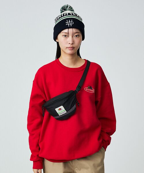 ABAHOUSE / アバハウス ハット | 【Dickies / ディッキーズ】JACQUARD WATCH/ニット帽/ボン | 詳細3