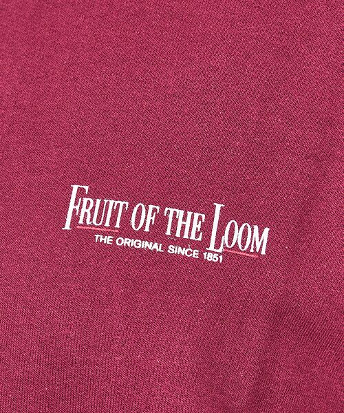 ABAHOUSE / アバハウス スウェット | 【FRUIT OF THE LOOM】PRINT SWEAT4/ロゴプリント/ユ | 詳細5