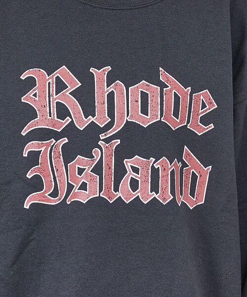 ABAHOUSE / アバハウス スウェット | 【FRUIT OF THE LOOM】PRINT SWEAT7/プリントスウェッ | 詳細13