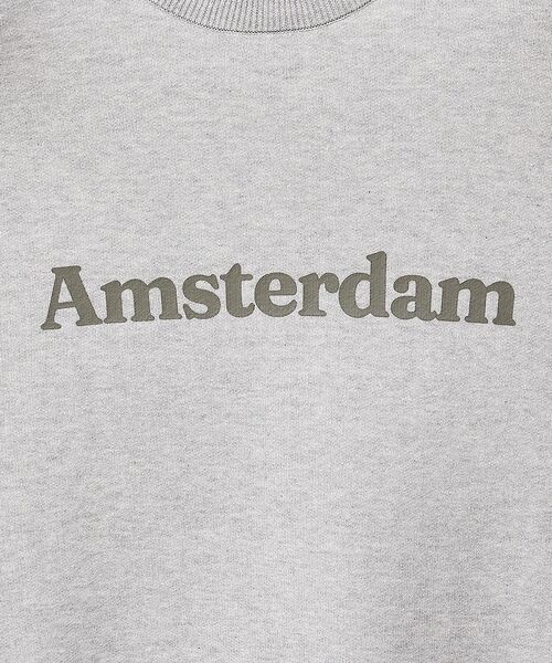 ABAHOUSE / アバハウス ニット・セーター | スウェットライク ロゴニット プルオーバー【予約】 | 詳細11