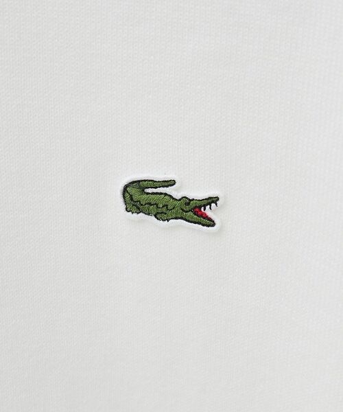 ABAHOUSE / アバハウス ニット・セーター | 【LACOSTE / ラコステ】ボーダーリブ プルオーバーニット | 詳細1