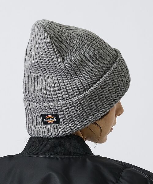 ABAHOUSE / アバハウス ハット | 【Dickies / ディッキーズ】BLOCK FONT WAPPEN WATC（グレー）