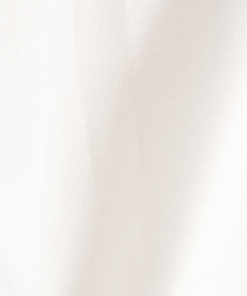 ABAHOUSE / アバハウス シャツ・ブラウス | 【ON/OFF兼用】SOLOTEXコットン 36ゲージ モクロディ ストレッチシ | 詳細2