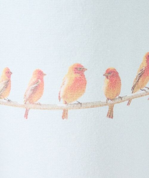 ABAHOUSE / アバハウス Tシャツ | 【BIRD】 グラフィックTシャツ【予約】 | 詳細6