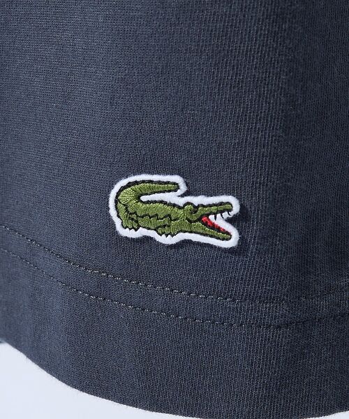 ABAHOUSE / アバハウス Tシャツ | 【LACOSTE / ラコステ】 VINTAGE LOGO TEE / ビンテー | 詳細10