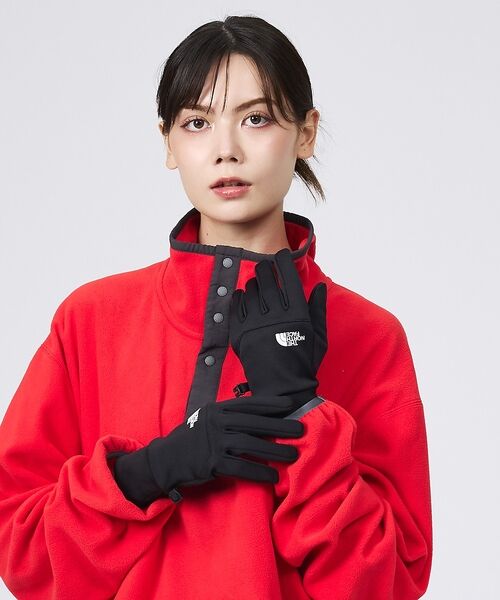 ABAHOUSE / アバハウス 手袋 | 【THE NORTH FACE / ザ・ノースフェイス】イーチップグローブ/（ブラック）