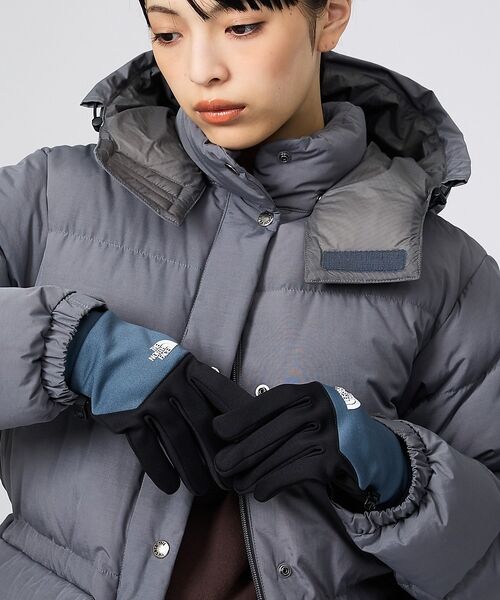 ABAHOUSE / アバハウス 手袋 | 【THE NORTH FACE / ザ・ノースフェイス】イーチップグローブ/ | 詳細15