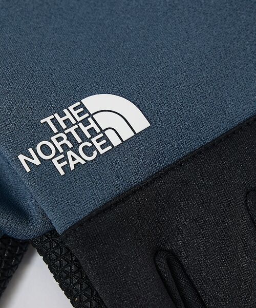 ABAHOUSE / アバハウス 手袋 | 【THE NORTH FACE / ザ・ノースフェイス】イーチップグローブ/ | 詳細21