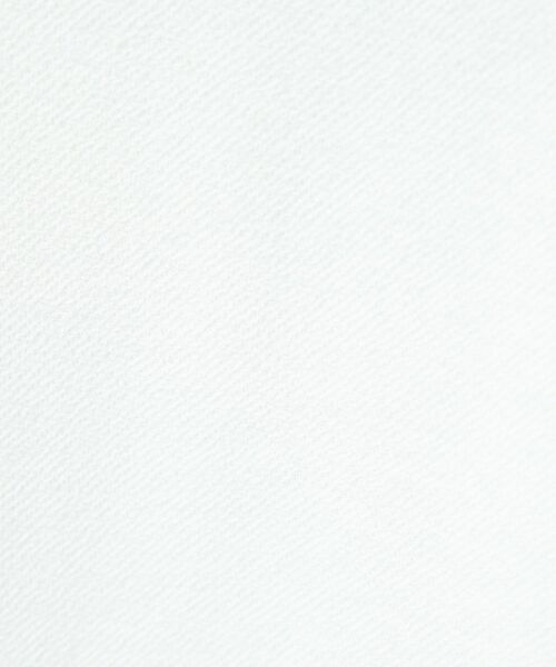 ABAHOUSE / アバハウス Tシャツ | 【アンサンブル対応】ピケパイル プルオーバー【予約】 | 詳細1