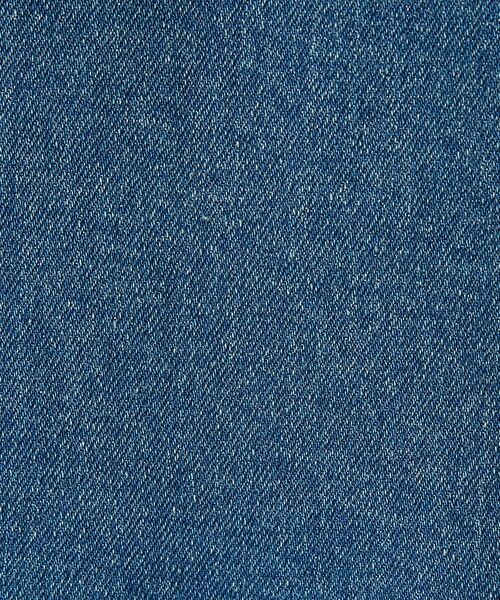 ABAHOUSE / アバハウス ブルゾン | 【セットアップ対応】COVEROSS DENIM カバーオールジャケット / ス | 詳細12