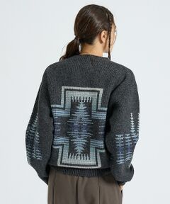 ABAHOUSE / アバハウス ニット・セーター | 【PENDLETON/ペンドルトン】HARDING / Shetland Woo