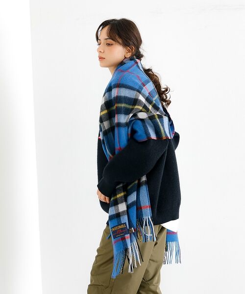 ABAHOUSE / アバハウス マフラー・ショール・スヌード・ストール | 【TWEEDMILL / ツイードミル】大判チェック柄ストール / チェックスト（ブルー系その他1）