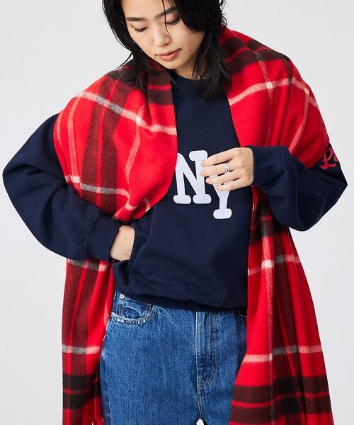 ABAHOUSE / アバハウス マフラー・ショール・スヌード・ストール | 【TWEEDMILL / ツイードミル】大判チェック柄ストール / チェックスト（レッド系その他1）
