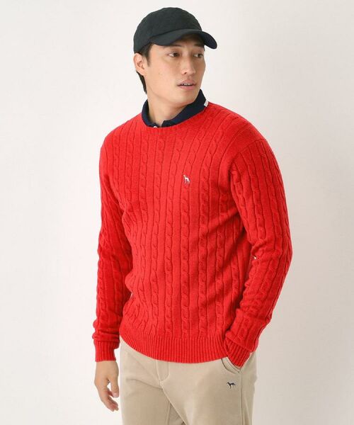 adabat / アダバット ニット・セーター | ケーブル柄クルーネックニット | 詳細11