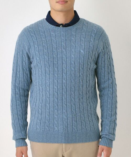 adabat / アダバット ニット・セーター | ケーブル柄クルーネックニット | 詳細20