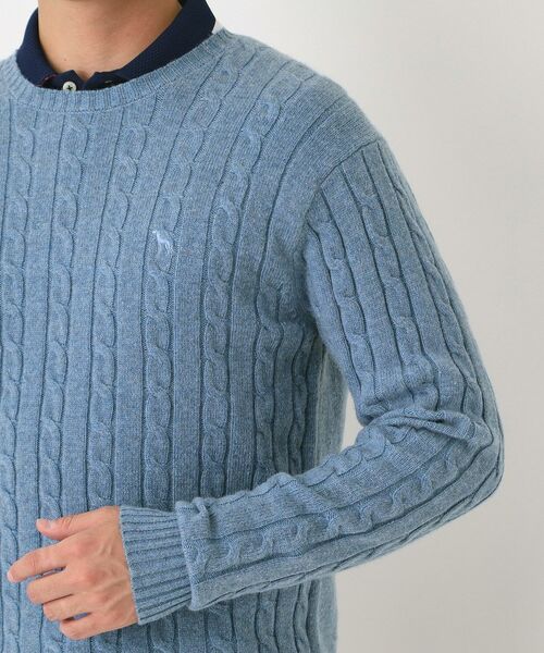 adabat / アダバット ニット・セーター | ケーブル柄クルーネックニット | 詳細24