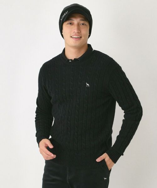 adabat / アダバット ニット・セーター | ケーブル柄クルーネックニット(ブラック(019))