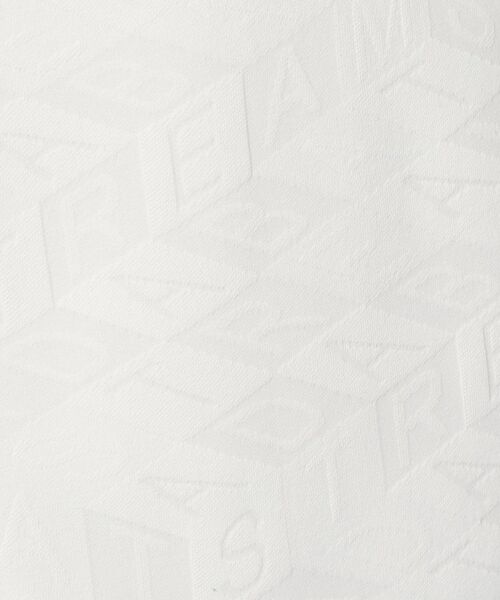 ADABAT STREAM / アダバットストリーム カットソー | ロゴジャカードモックネックT | 詳細4