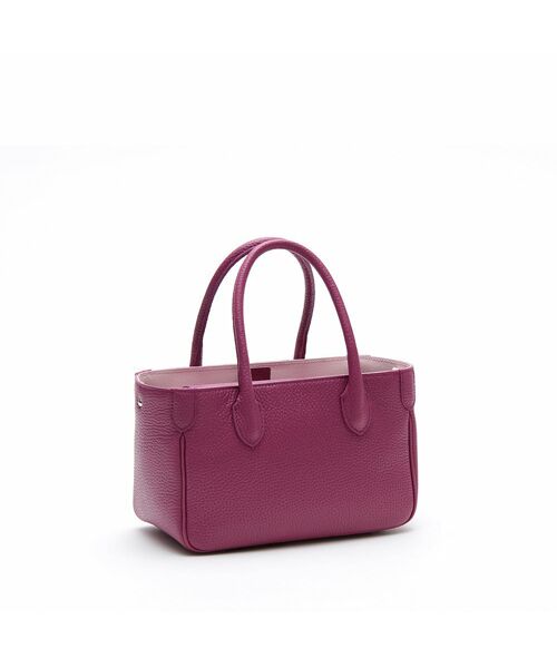 Accesoires De Mademoiselle / アクセソワ・ドゥ・マドモワゼル トートバッグ | 牛革/アールデコモチーフミニトート(Dカン+) | 詳細2