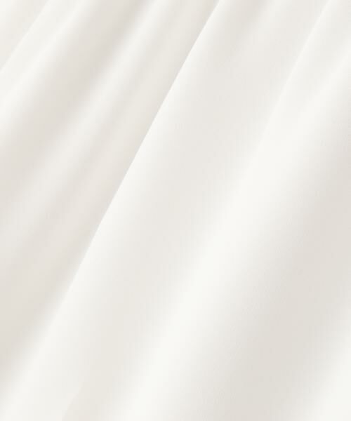 ADORE / アドーア パンツ | ◆クリアジョーゼットパンツ | 詳細14