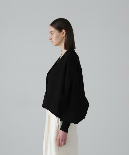 ADORE / アドーア ニット・セーター | ◆フォルムドスリーブニット | 詳細3