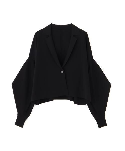 ADORE / アドーア ニット・セーター | ◆フォルムドスリーブニット | 詳細8