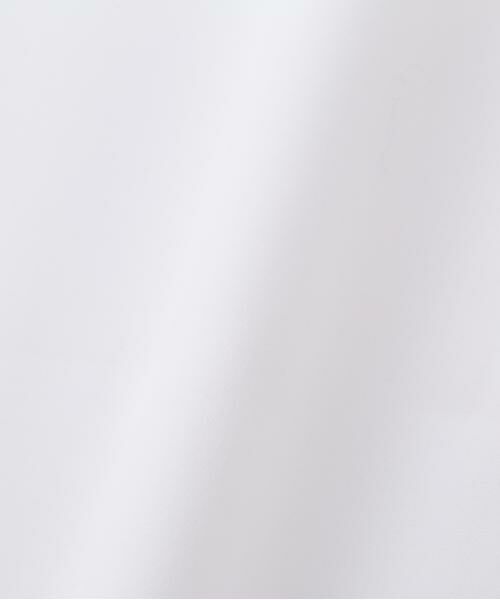 ADORE / アドーア シャツ・ブラウス | コンパクトコットンブラウス | 詳細13