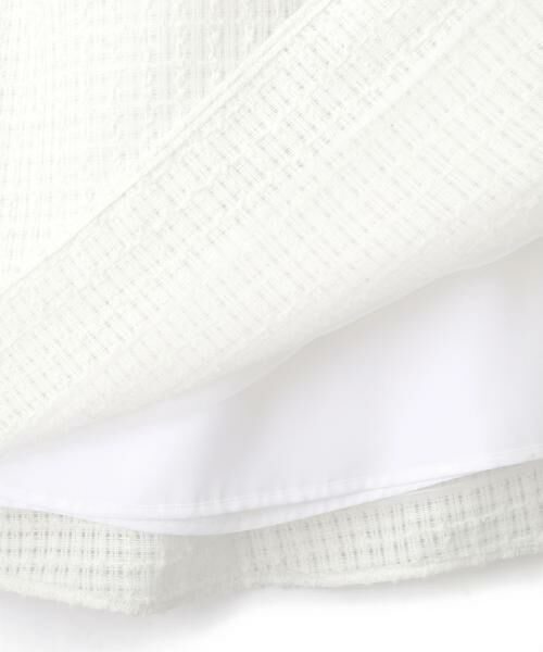 ADORE / アドーア スカート | ◆レーシーメッシュスカート | 詳細8