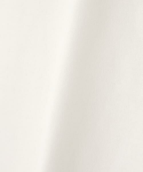 ADORE / アドーア カットソー | ハイテンションポンチＴシャツ | 詳細2