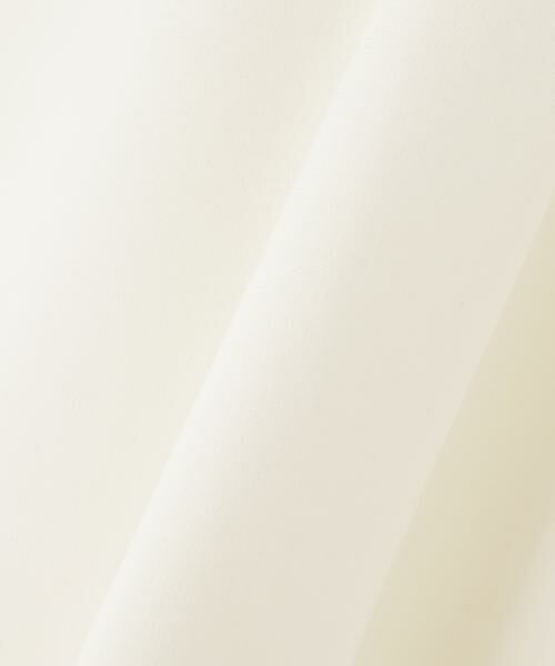 ADORE / アドーア カットソー | ◆ストレッチポンチプルオーバー | 詳細1