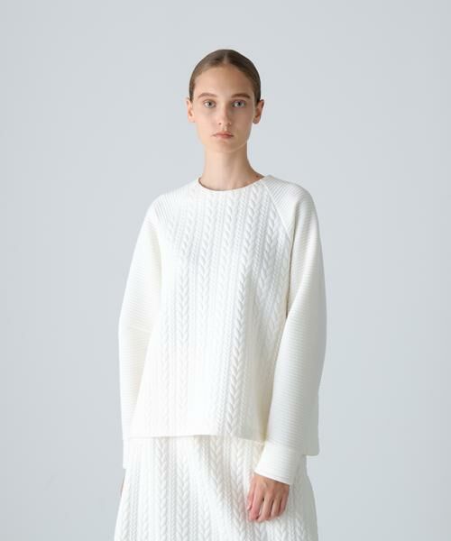 ADORE / アドーア カットソー | ◆ジャガードジャージートップス | 詳細1