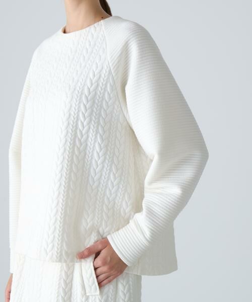 ADORE / アドーア カットソー | ◆ジャガードジャージートップス | 詳細6