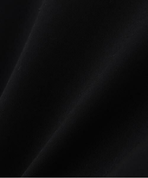 ADORE / アドーア カットソー | ◆ハイゲージクリアジャージー | 詳細9