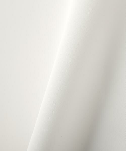 ADORE / アドーア シャツ・ブラウス | ◆クリアジョーゼットブラウス | 詳細9