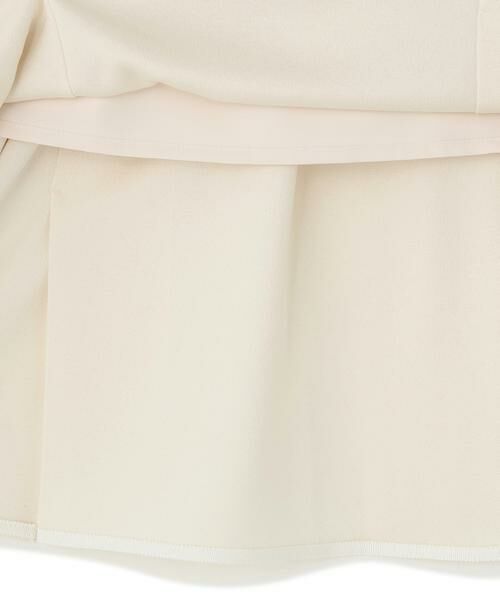 ADORE / アドーア スカート | バックサテンジョーゼットスカート | 詳細1