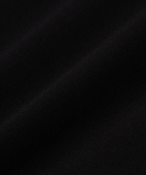 ADORE / アドーア スカート | バックサテンジョーゼットスカート | 詳細3