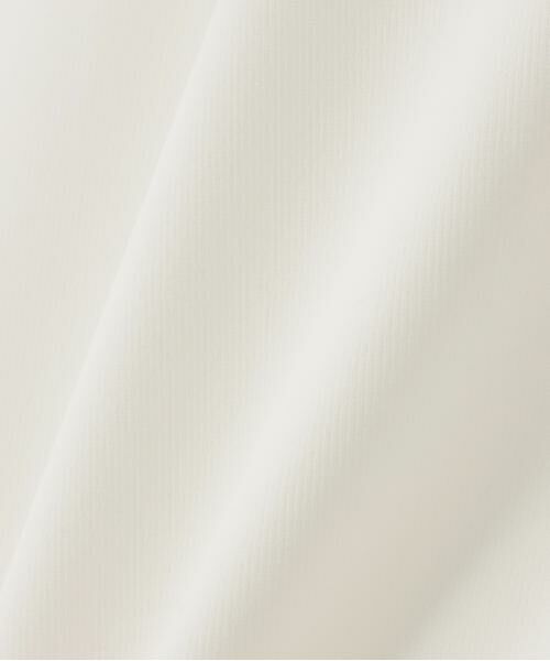 ADORE / アドーア カットソー | ストレッチポンチ　ベアインナー | 詳細1