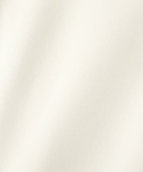 ADORE / アドーア シャツ・ブラウス | ＜BLACK LABEL＞プレーンダブルクロスブラウス | 詳細9