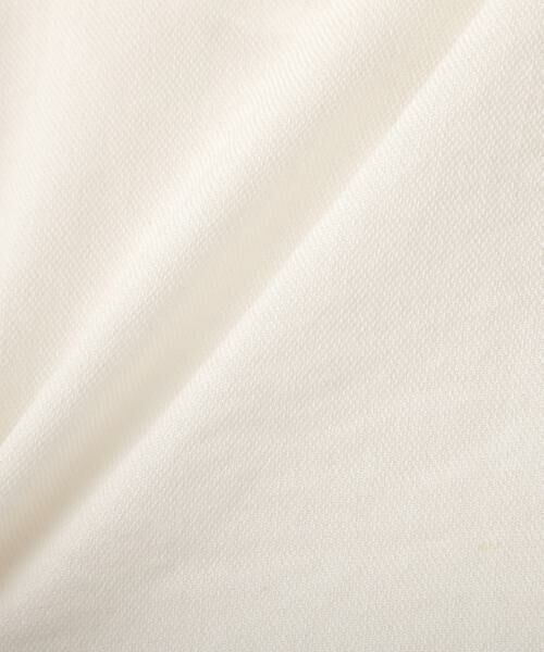 ADORE / アドーア シャツ・ブラウス | ナチュラルツイルブラウス | 詳細1