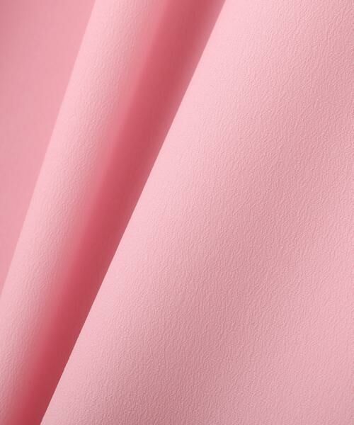 ADORE / アドーア パンツ | ラスタージョーゼットパンツ | 詳細1