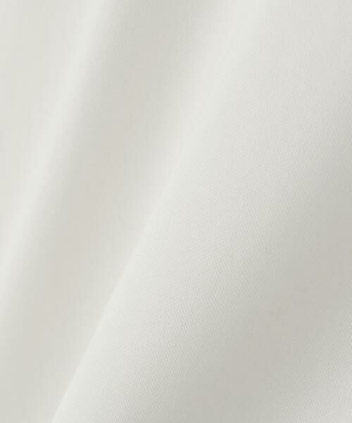 ADORE / アドーア カットソー | ◆ハイゲージコンパクトジャージー半袖 | 詳細4
