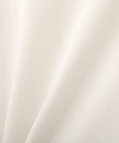 ADORE / アドーア カットソー | ハイゲージウラケトップス | 詳細10