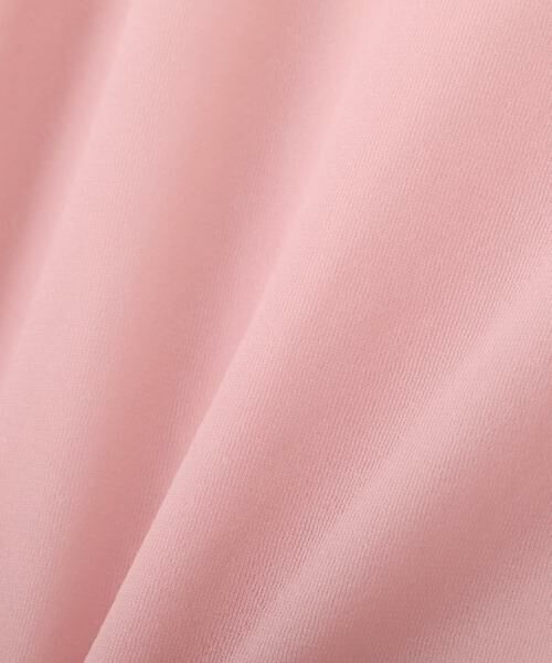 ADORE / アドーア カットソー | シアージャージートップス | 詳細3