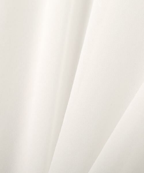 ADORE / アドーア カットソー | シアージャージートップス | 詳細6