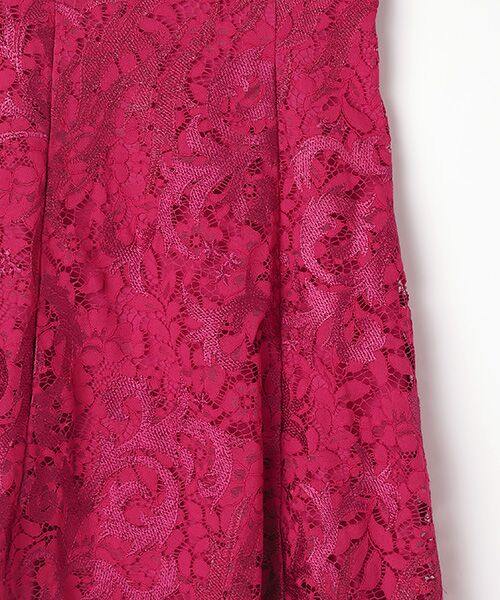 Adrianna Papell / アドリアナ パペル ドレス | Embroidered Lace Midi Dress | 詳細3
