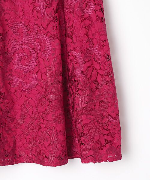 Adrianna Papell / アドリアナ パペル ドレス | Embroidered Lace Midi Dress | 詳細4