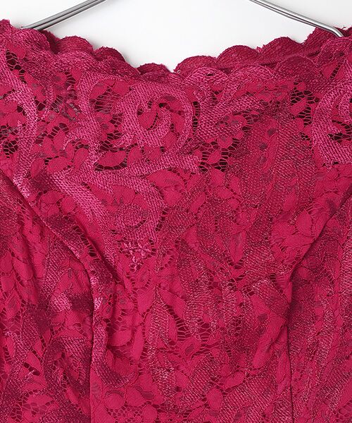 Adrianna Papell / アドリアナ パペル ドレス | Embroidered Lace Midi Dress | 詳細7