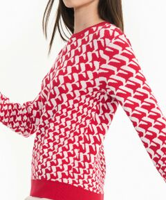 AIGLE / エーグル ニット・セーター | バーズアイ ジャカードニットセーター