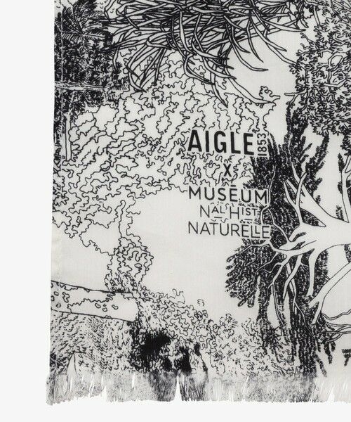 AIGLE / エーグル マフラー・ショール・スヌード・ストール | 【国立自然史博物館】 ストール | 詳細7